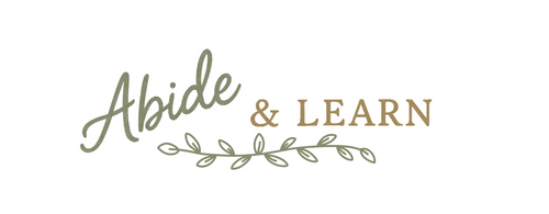 Abide & Learn
